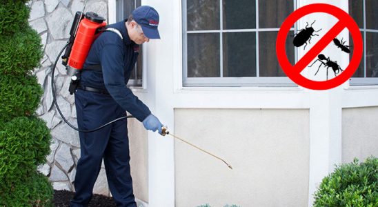 Gülağaç Böcek İlaçlama böcek ilaçlama ve haşere kontrolü — ilaclama-tr.com